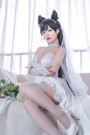 维瓦