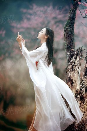 陆小凤传奇